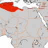 أمازيغي عربي