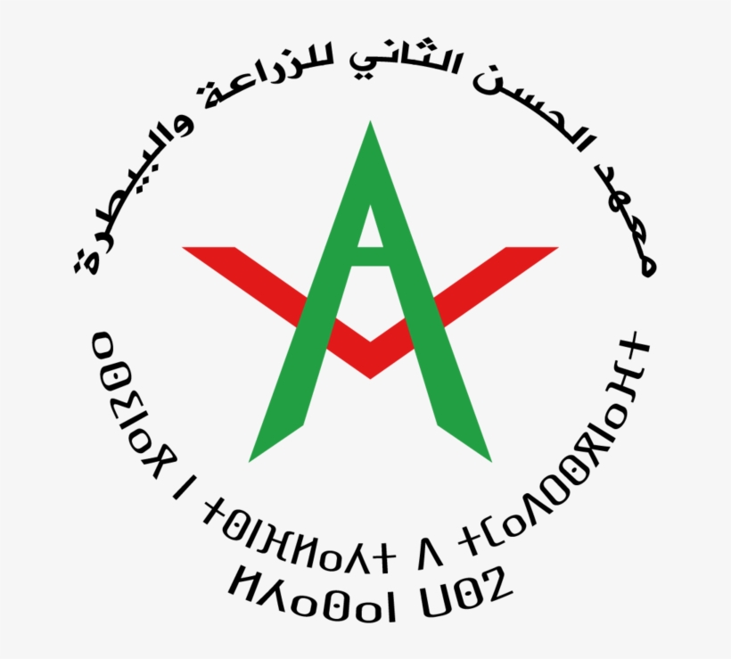 714-7148355_file-logo-wikimedia-commons-png-iav-logo.png