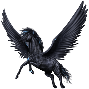 GA-Pegasus-Coats-the-new-howrse-32623162-300-300.png