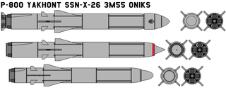 P-800YakhontSSN-X-263M55Oniks.png~320x480