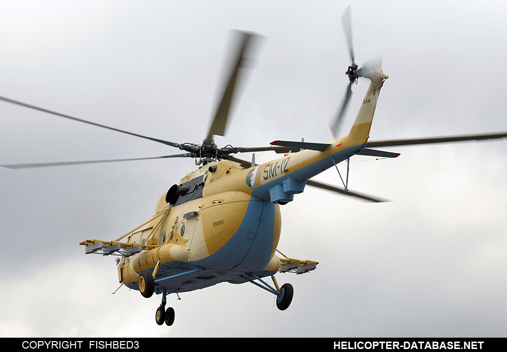 Mi17_7T_SM-12_1.jpg
