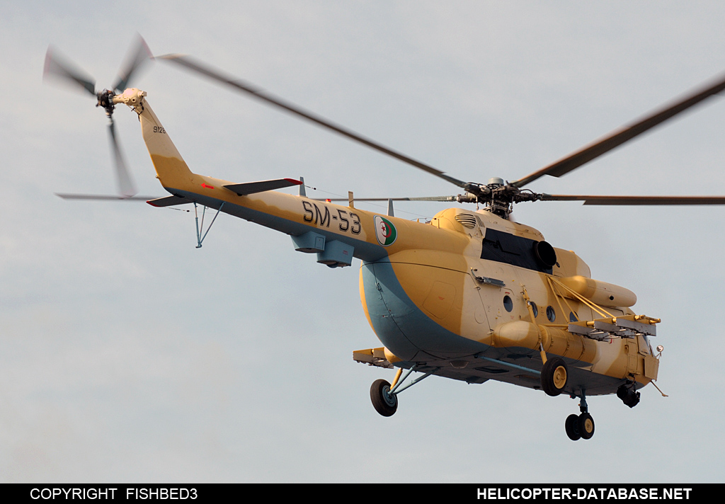 Mi17_7T_SM-53_10.jpg