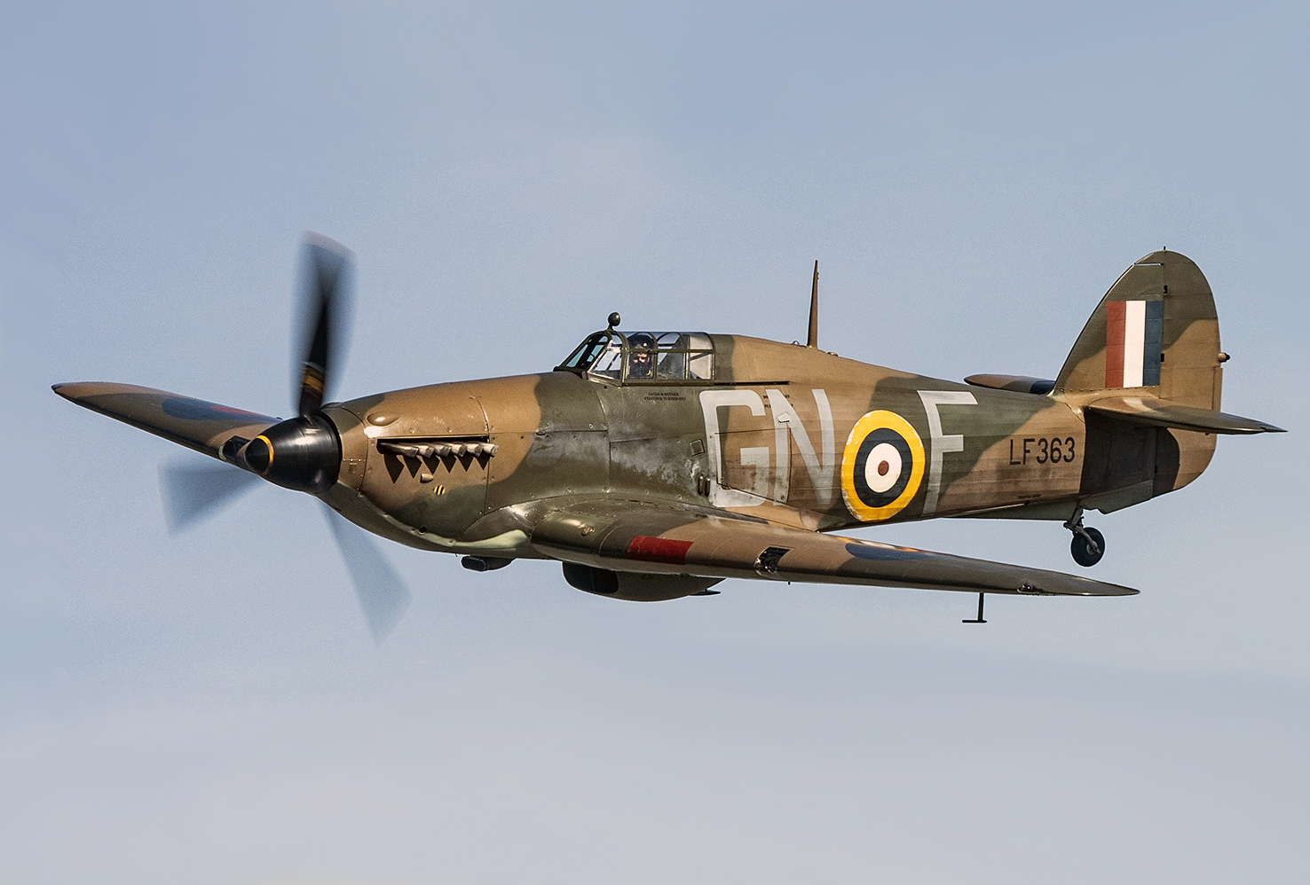 Hawker_Hurricane%2C_Battle_of_Britain_Memorial_Flight_Members%27_day_2018_%28cropped%29.jpg