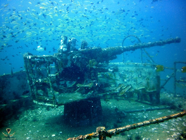 boat-club-diving-013.jpg