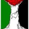 SaFeEr LiByA