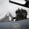 eagle15