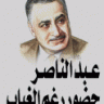 قائدالامة العربية