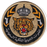 ركن طيار