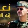 الصقر السوري 94