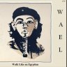 waeel50