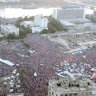 الصقر المصري