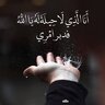 عمرو حسين