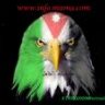 امجد صبحى
