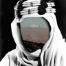 ثعلب الصحاري العربية