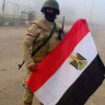 المصرى