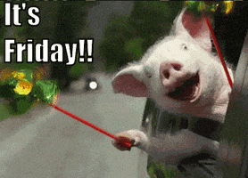 Its Friday GIF Its Friday GIF