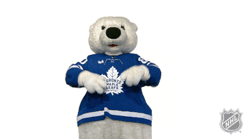 Happy Ice Hockey GIF by NHL Happy Ice Hockey GIF by NHL