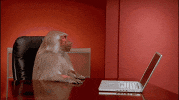 Office Monkey GIF Office Monkey GIF