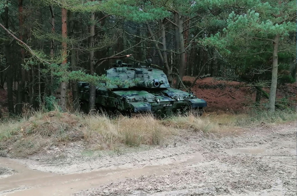 التمويه الرقمي .. فن إخفاء الدبابات 587-we10 التمويه الرقمي .. فن إخفاء الدبابات 587-we10