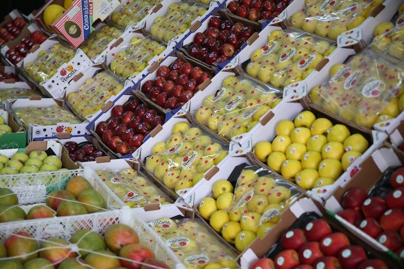 صادرات الفلاحة والصناعة الغذائية تزيد بأكثر من 24% رغم الجفاف في المغرب صادرات الفلاحة والصناعة الغذائية تزيد بأكثر من 24% رغم الجفاف في المغرب
