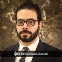 محمد حسن محمد حسن