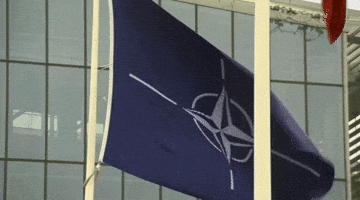 Ulf Kristersson Flag GIF by GIPHY News Ulf Kristersson Flag GIF by GIPHY News