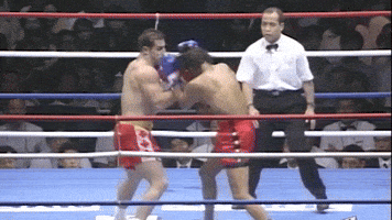 K-1 Knockout GIF by GLORY Kickboxing K-1 Knockout GIF by GLORY Kickboxing