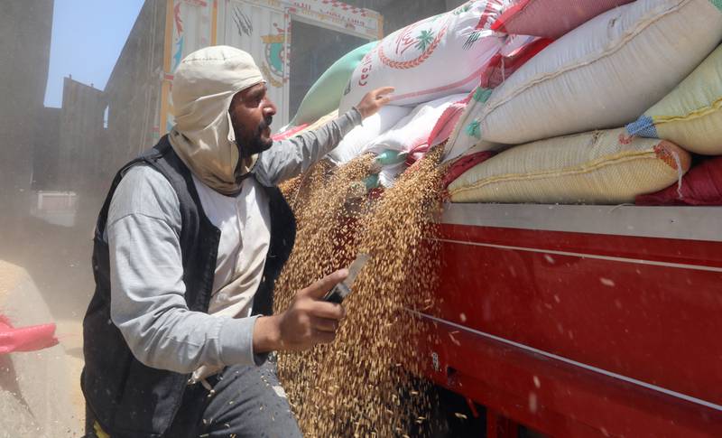 عمال يفرغون قمحاً في صوامع الحبوب في بنها. عمال يفرغون قمحاً في صوامع الحبوب في بنها.