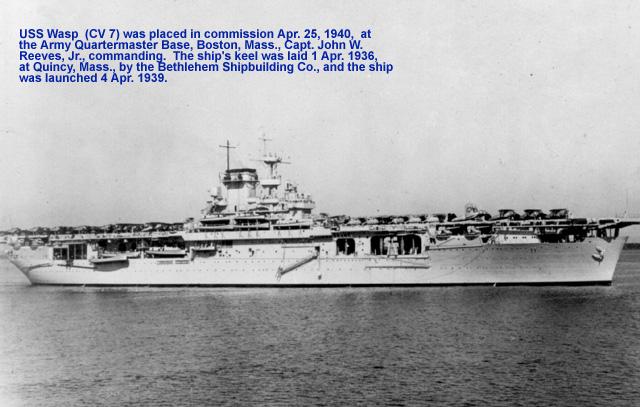 wasp1.jpg